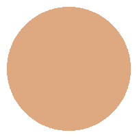 Corretivo Líquido FIX - Vizzela