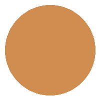 Corretivo Líquido SATIN - Vizzela