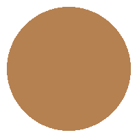 BB Cream FPS 30 - Vizzela