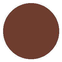 BB Cream FPS 30 - Vizzela