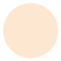 Base Líquida FIX - Vizzela