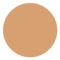 Base Líquida FIX - Vizzela