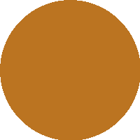 Base Líquida Matte - Vizzela