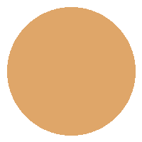 Corretivo Líquido SATIN - Vizzela