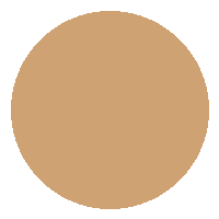 Pó Compacto Vizzela