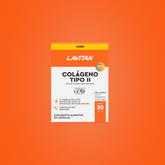 Lavitan Colágeno Tipo II Não Hidrolisado com 30 Comprimidos